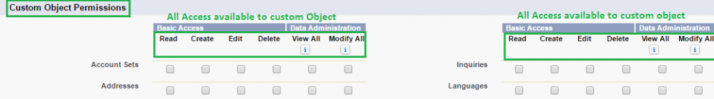 Custom Object Permission