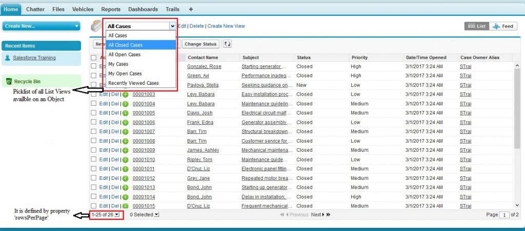 Result of code snippet to display all List Views on VF page