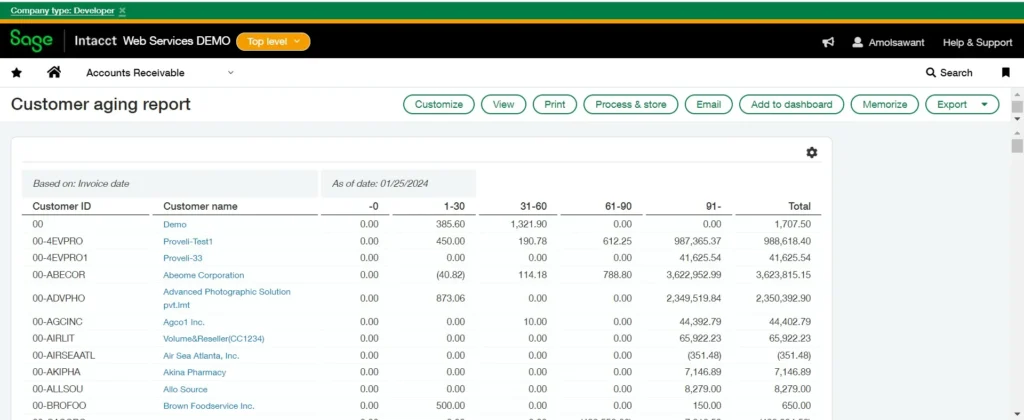 What is Customer Aging Report image-1