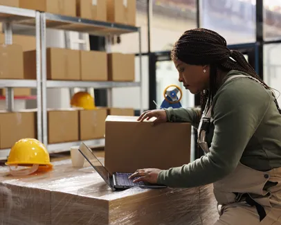 Inventory Management Software Africa | Greytrix Africa