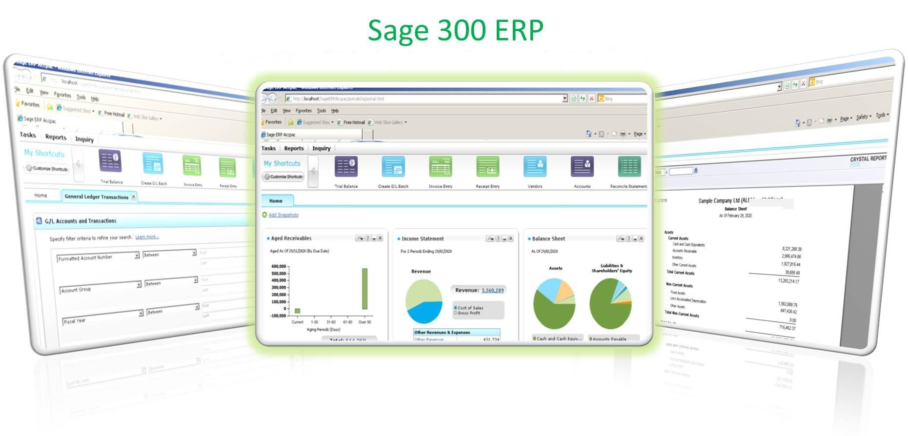 Sage-300-ERP-Portal-3-Page