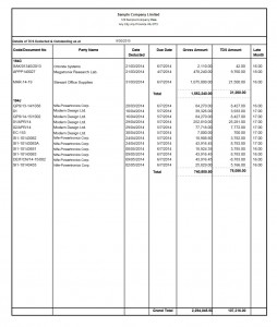 StatutoryAuditReport1