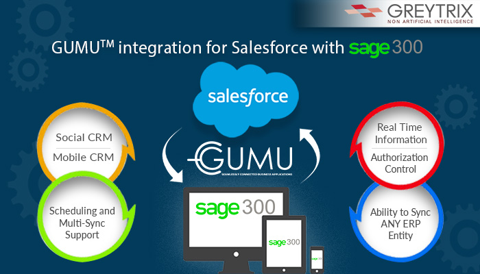 Salesforce and sage 300 Integration