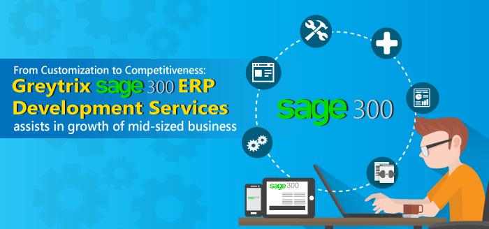 sage 300 development sevices