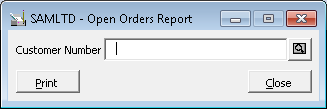 Open order report macro