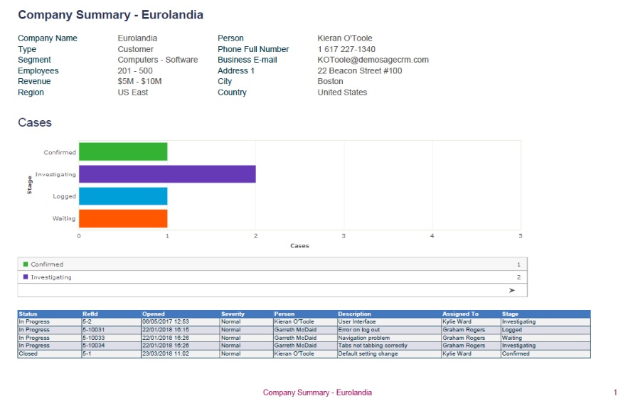 Customized Company Summary Report