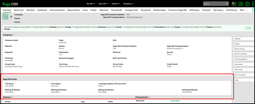 Sage 300 Sales Analytics Data Panel 