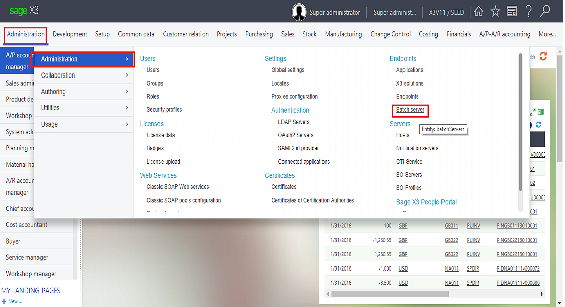 X3V11 batch server start process