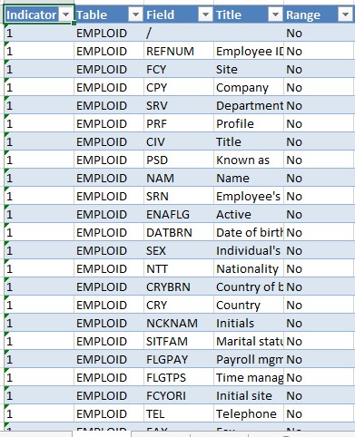Excel format