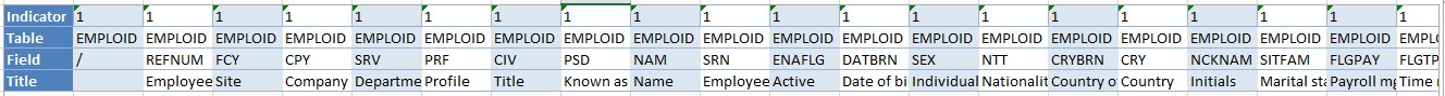 Formatted Excel file