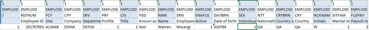 Formatted Excel file with employee records