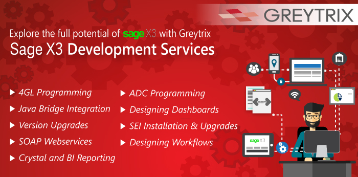 sage x3 development services