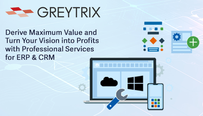 Greytrix professional services
