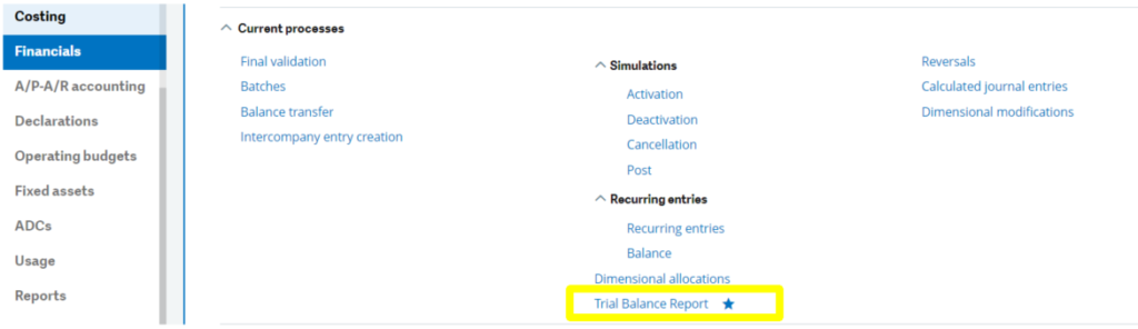 Trial Balance Report Screen