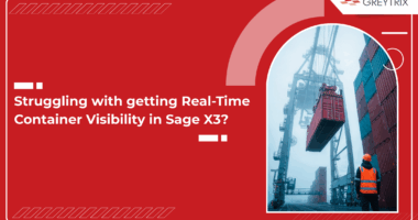 sage X3 for container management