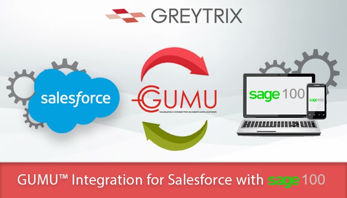 salesforce and sage 100 integration