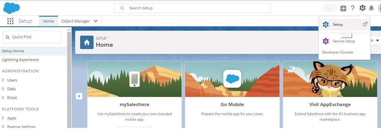 Salesforce Setup