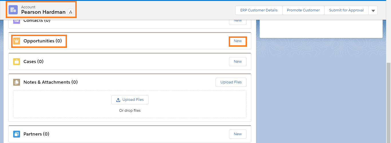 New Opportunity under Account