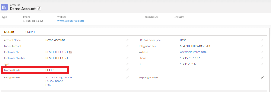Salesforce Account - Payment Code Value