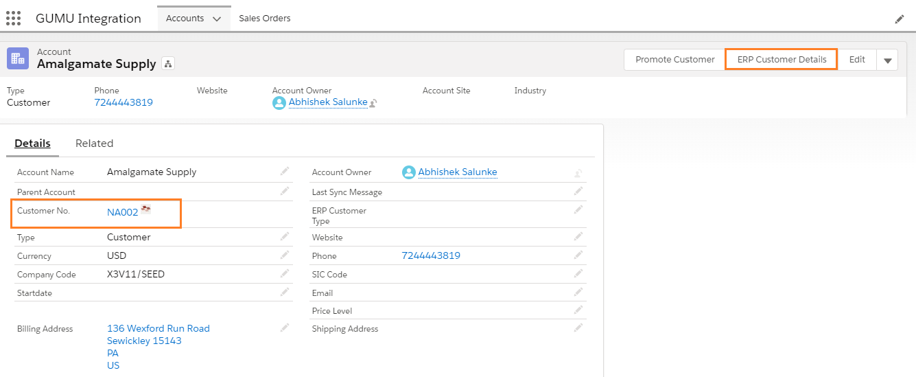 ERP Customer Details