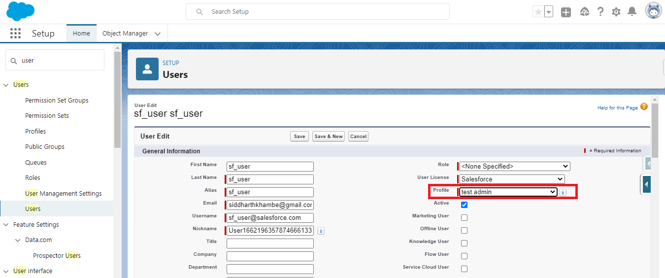 Assign Profile to User