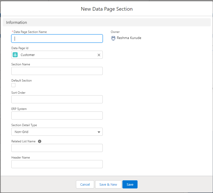New Data Page Section