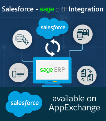 sage enterprise management services