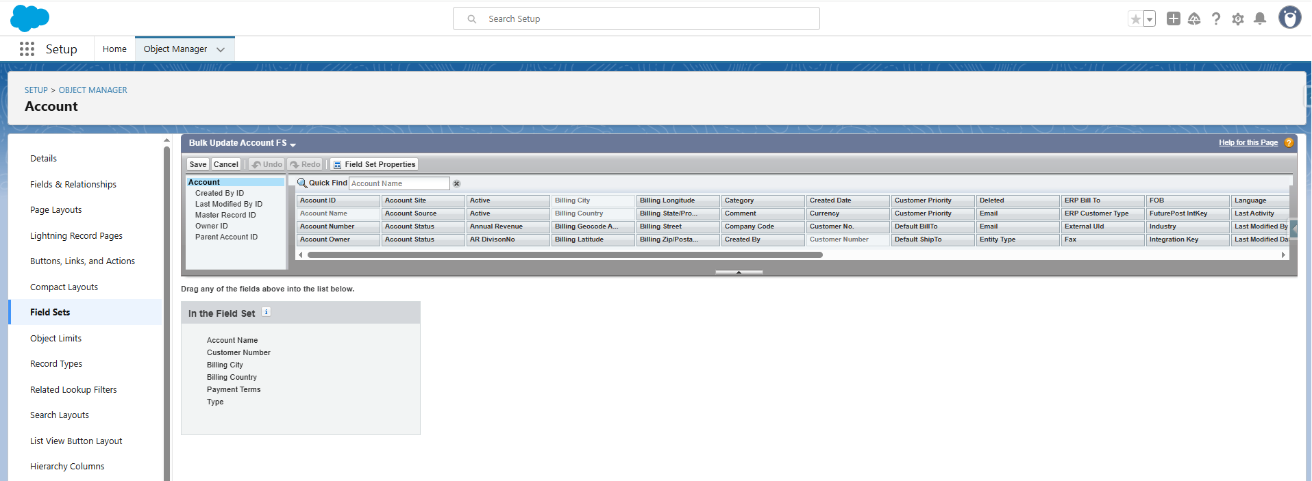 Bulk Update Field Set Window
