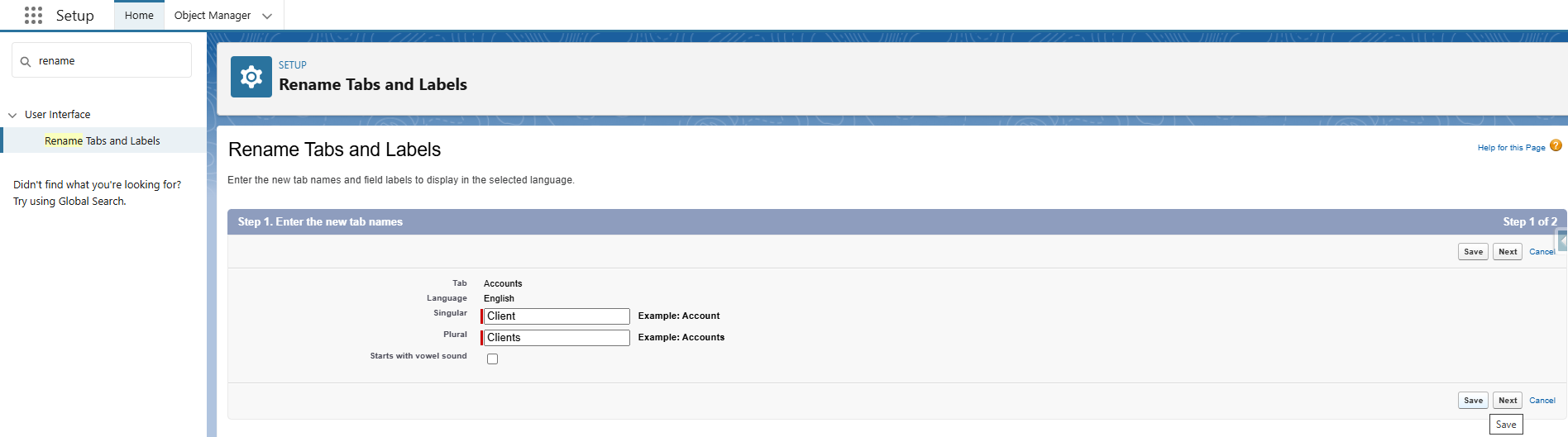 Rename Object and Tabs Labels