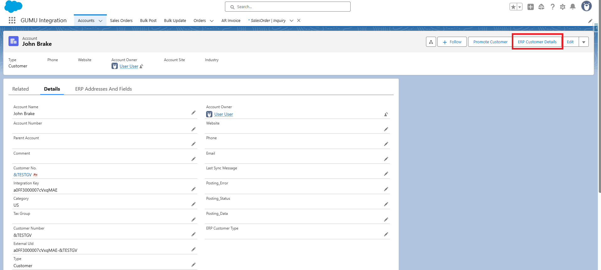 Account screen with ERP Customer Details button
