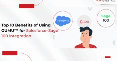 salesforce sage 100