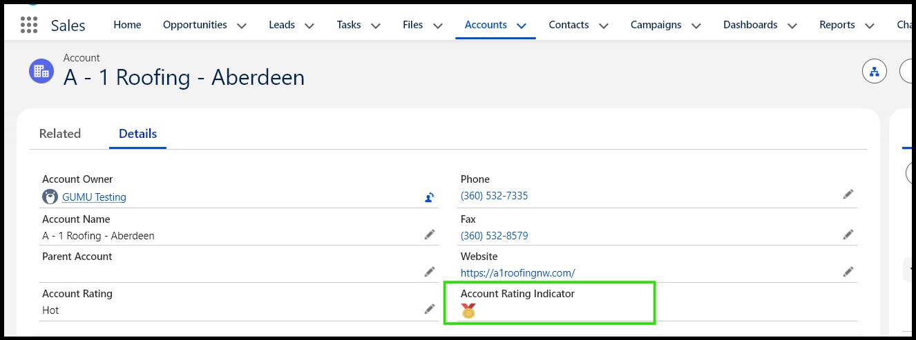 Account Rating Indicator on Account record