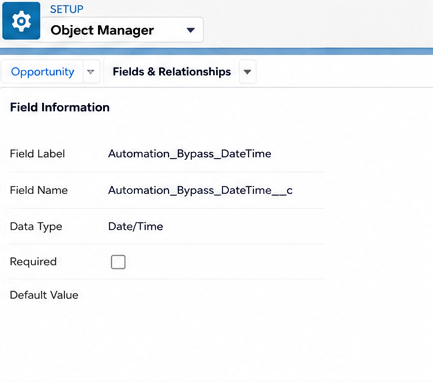 Automation Bypass DateTime: Field Creation