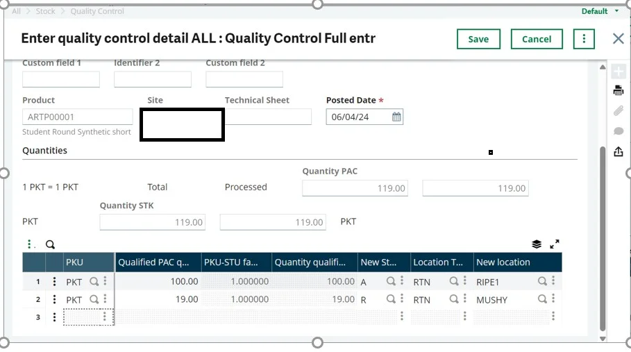 organize your inventory after qc in sage x3 image-5