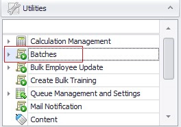 User_Defined_Batches_and_Batch_Instance_Management-img1