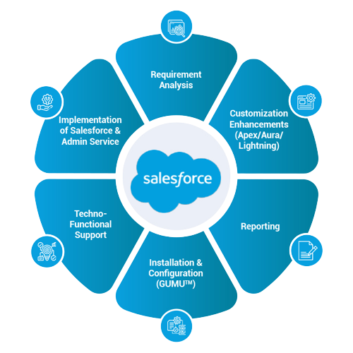 Salesforce Customization and Development Services