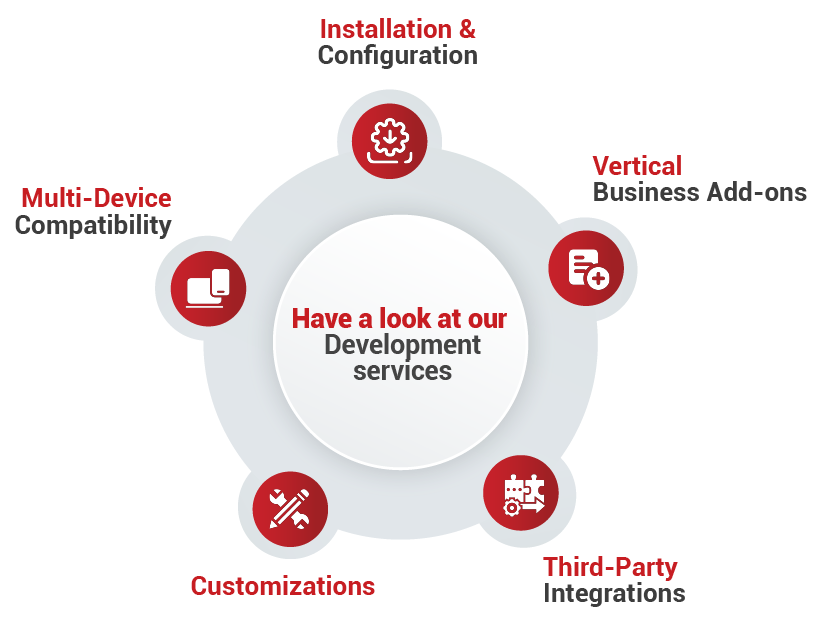 Development Service Sage CRM (1)